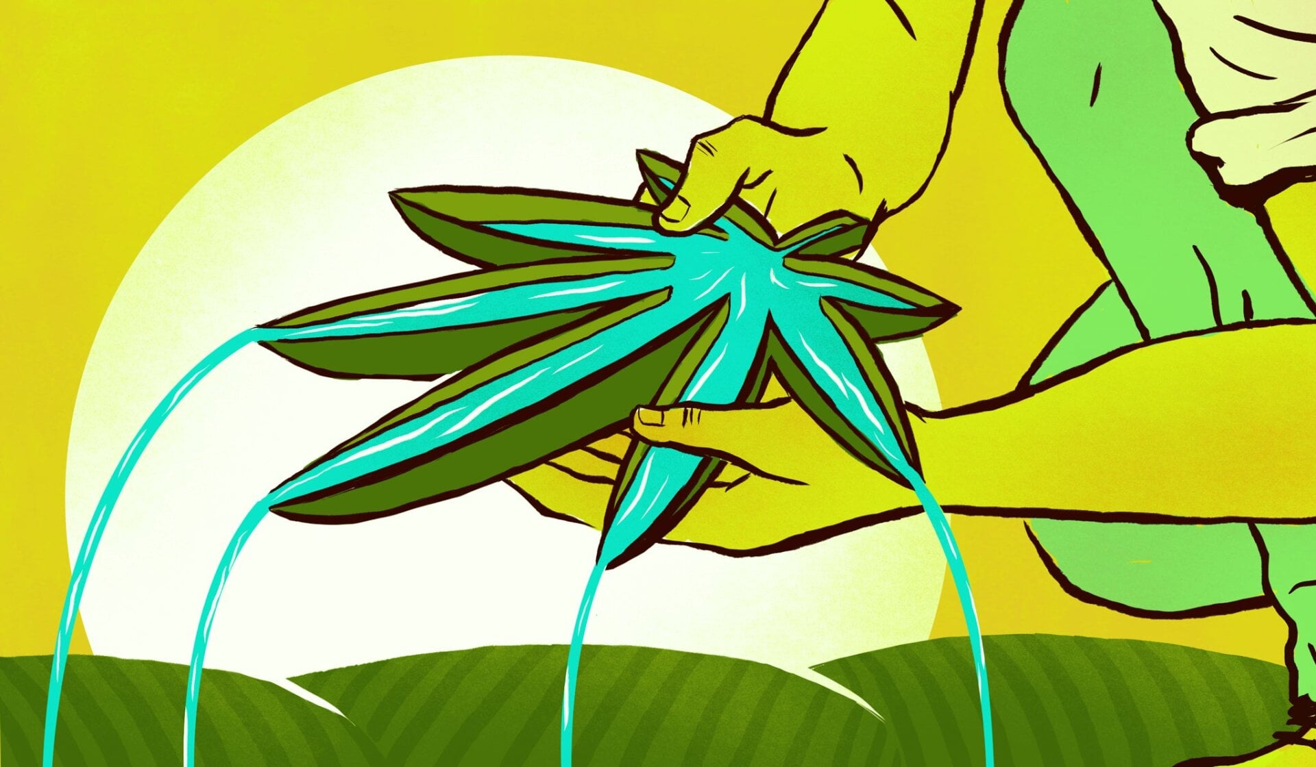 Illustration by Tara Jacoby