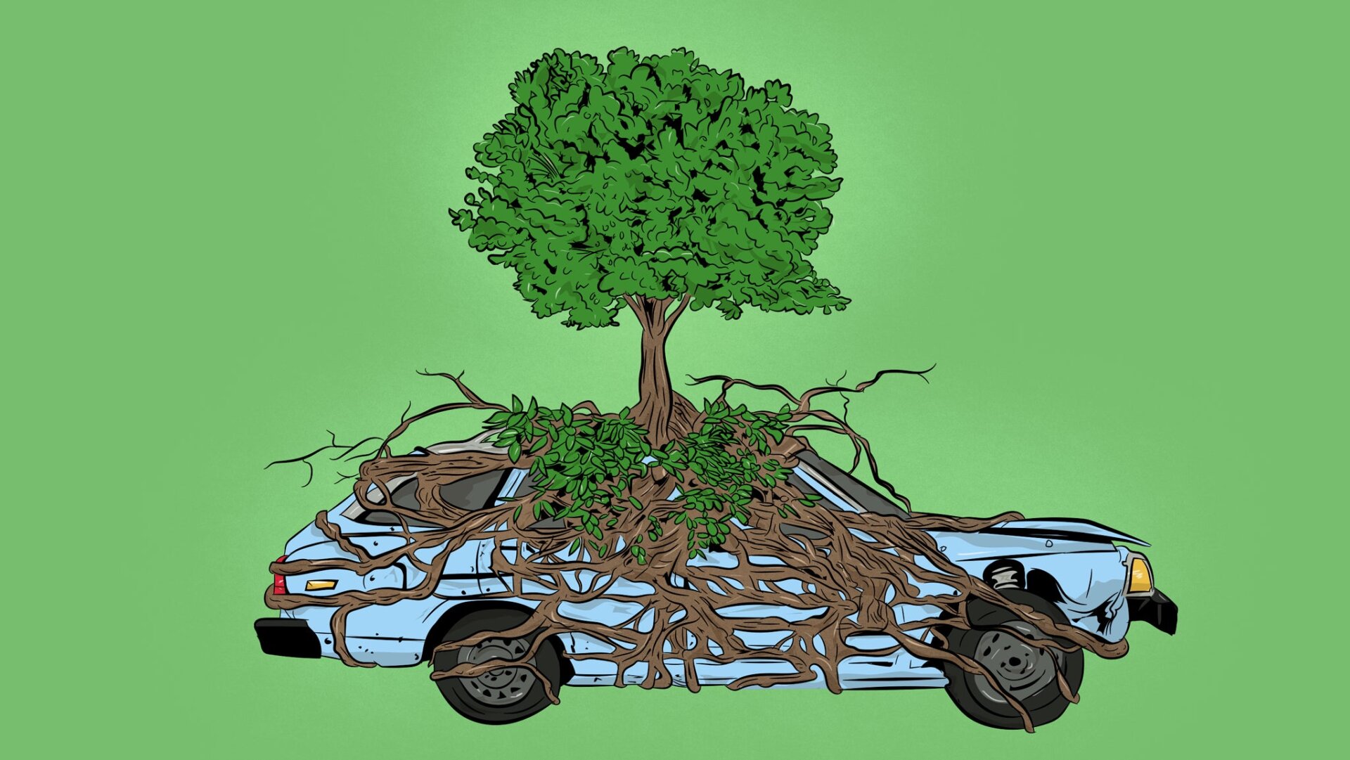 Illustration by Sam Woolley