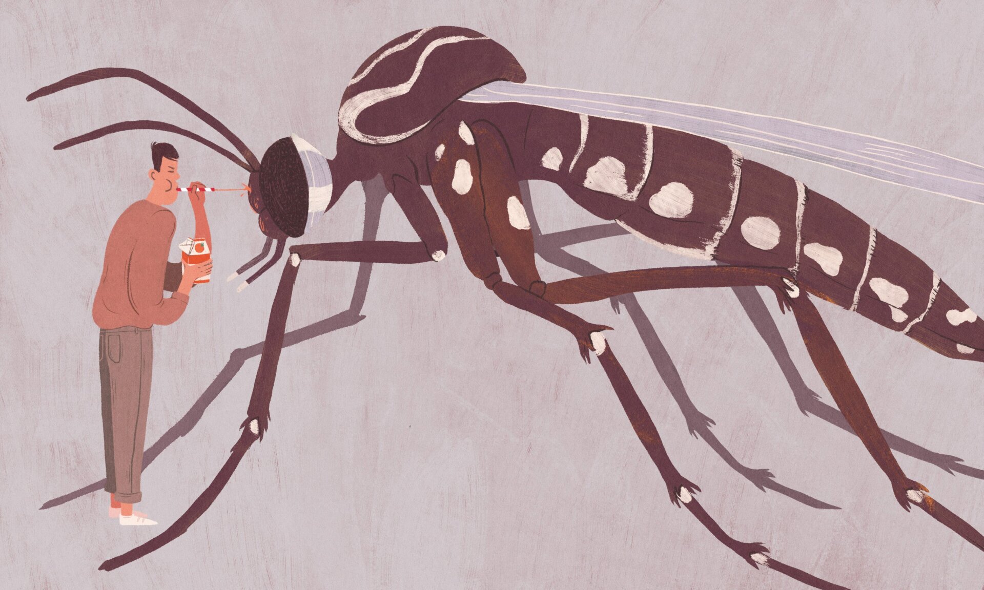 Illustration by Angelica Alzona