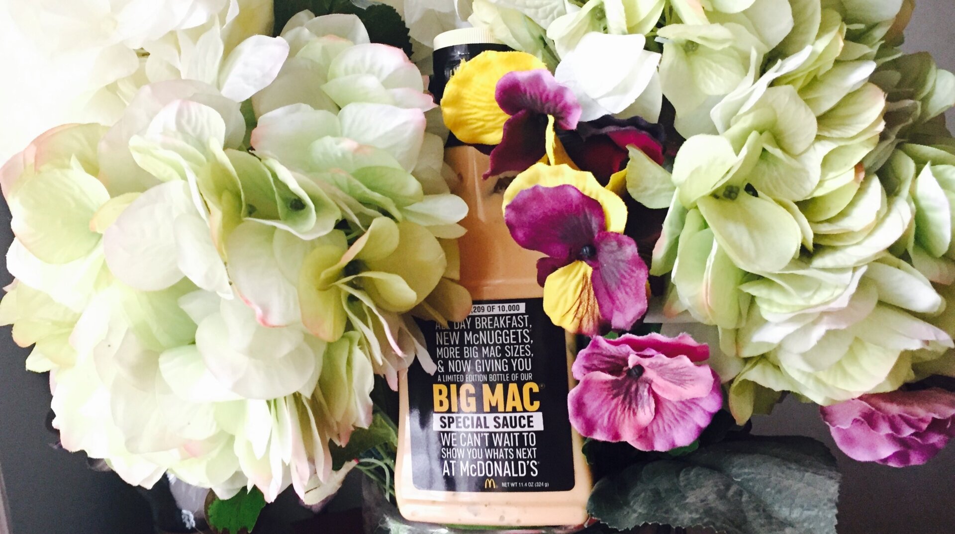 Image: Ryan F. Mandelbaum