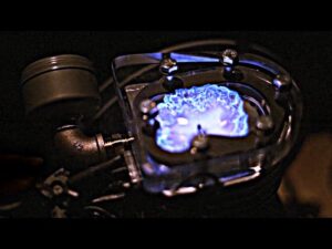 Seeing the Explosion Inside a See Through Engine Shows You How Engines Work