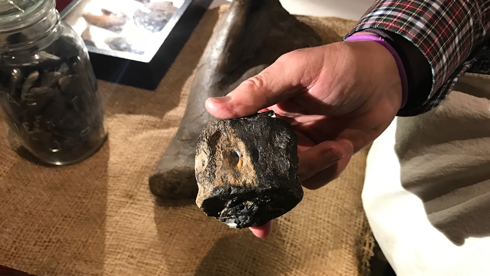 The plesiosaur vertebra (Image: Ryan F. Mandelbaum)