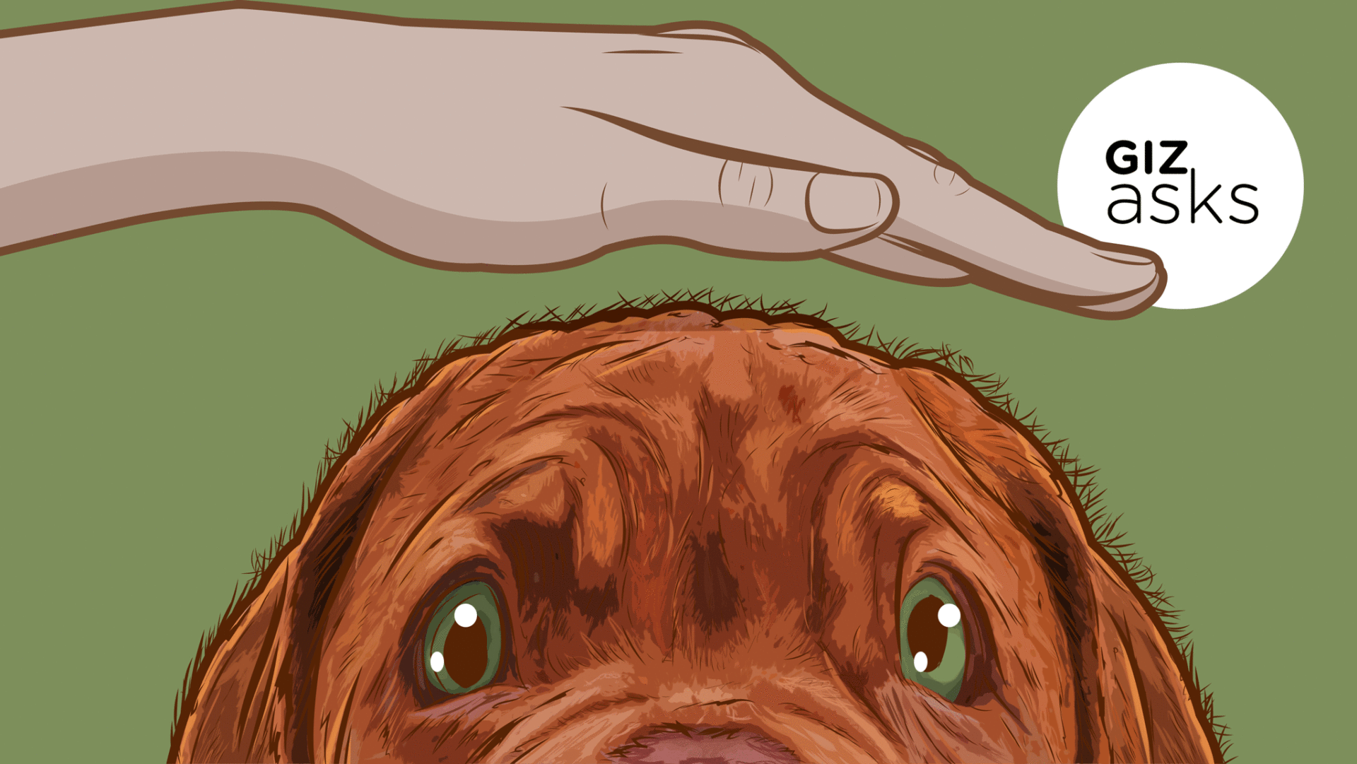 Image: Sam Woolley/Gizmodo