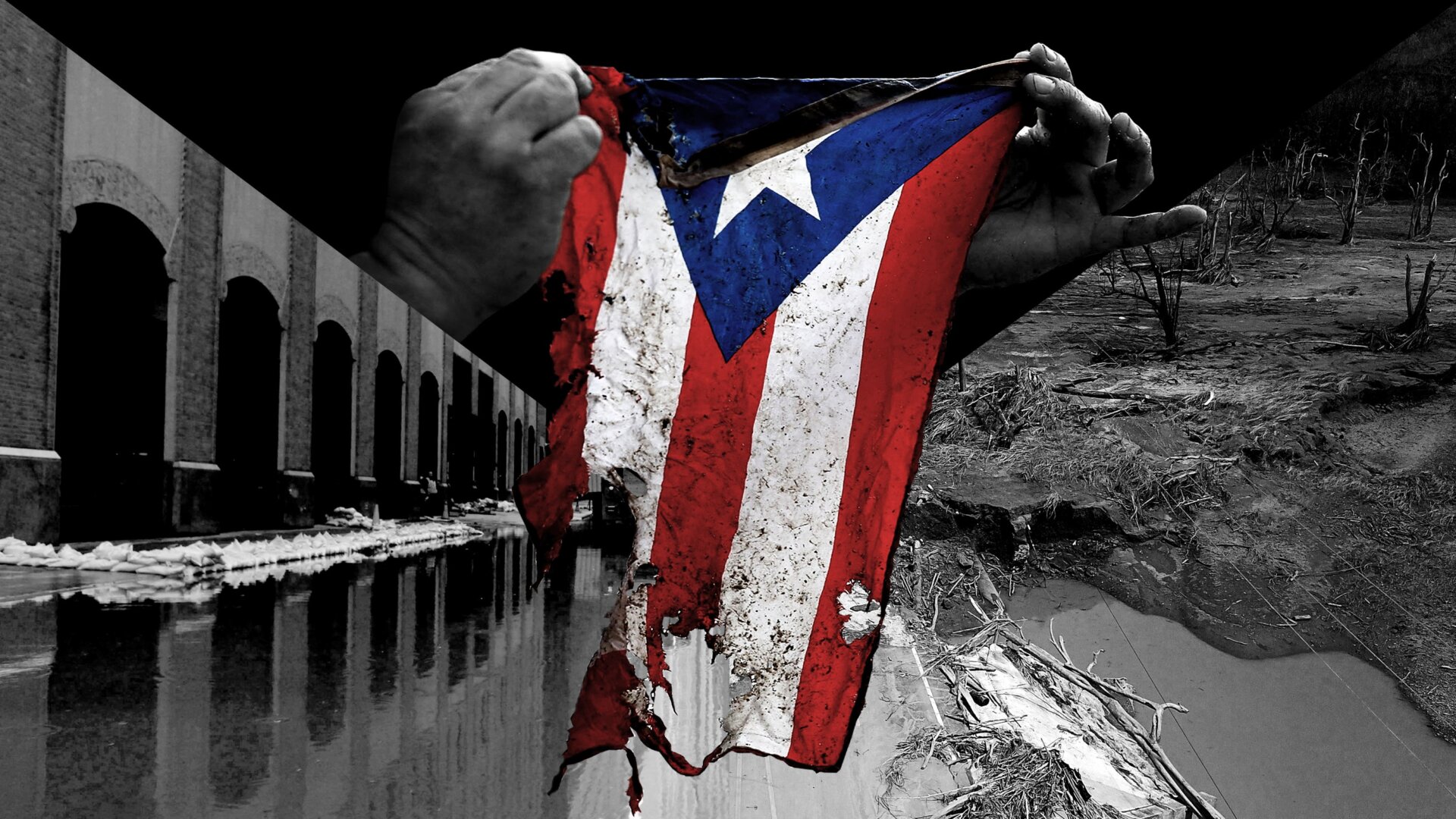 llustration by Elena Scotti/Gizmodo/GMG, photos via Shutterstock 