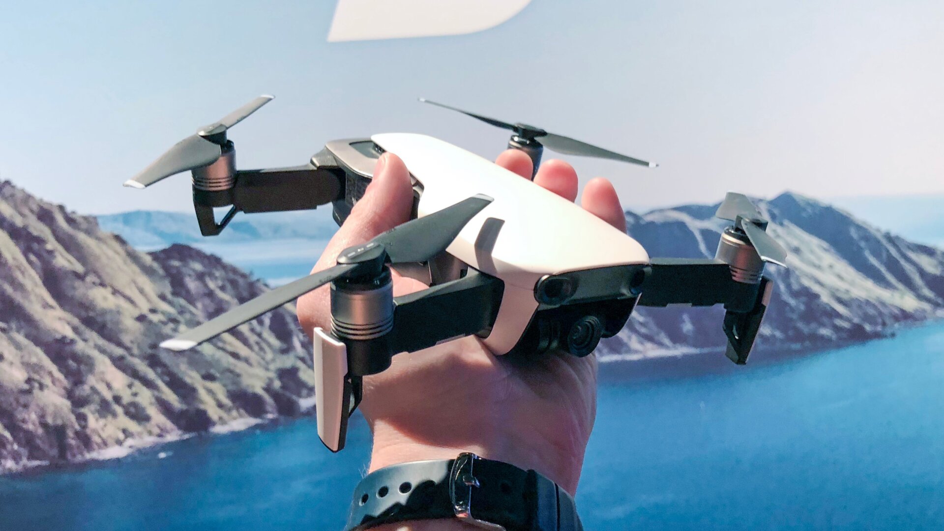 All photos: Adam Clark Estes / Gizmodo