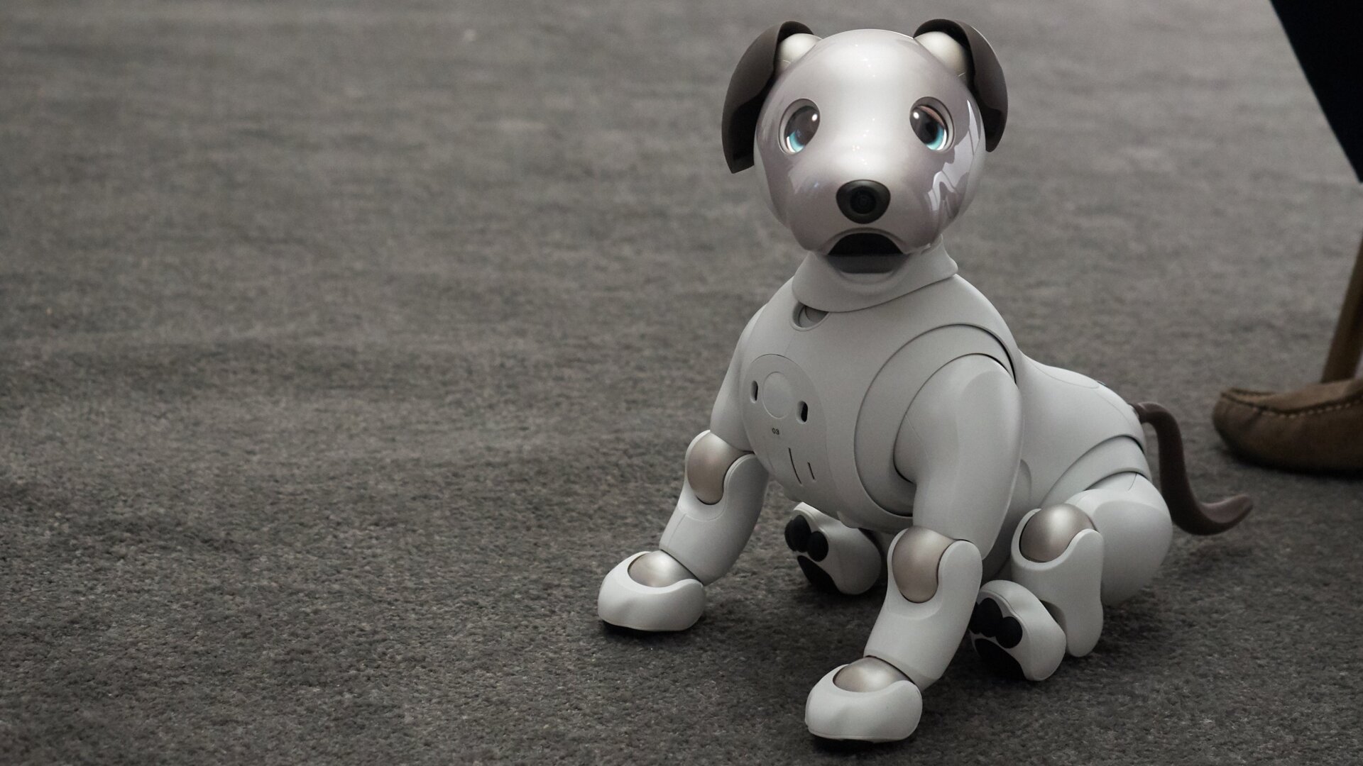 All images: Alex Cranz/Gizmodo