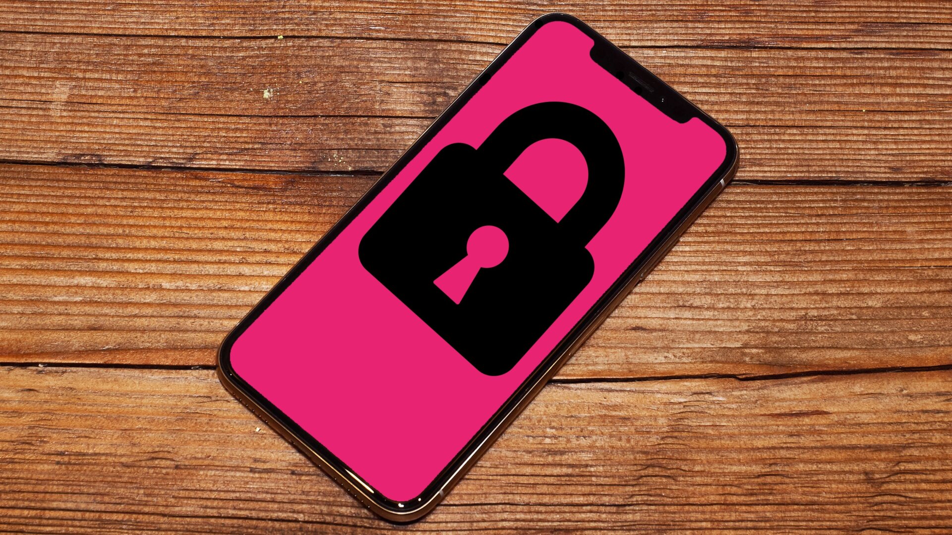 Image: Alex Cranz/Gizmodo