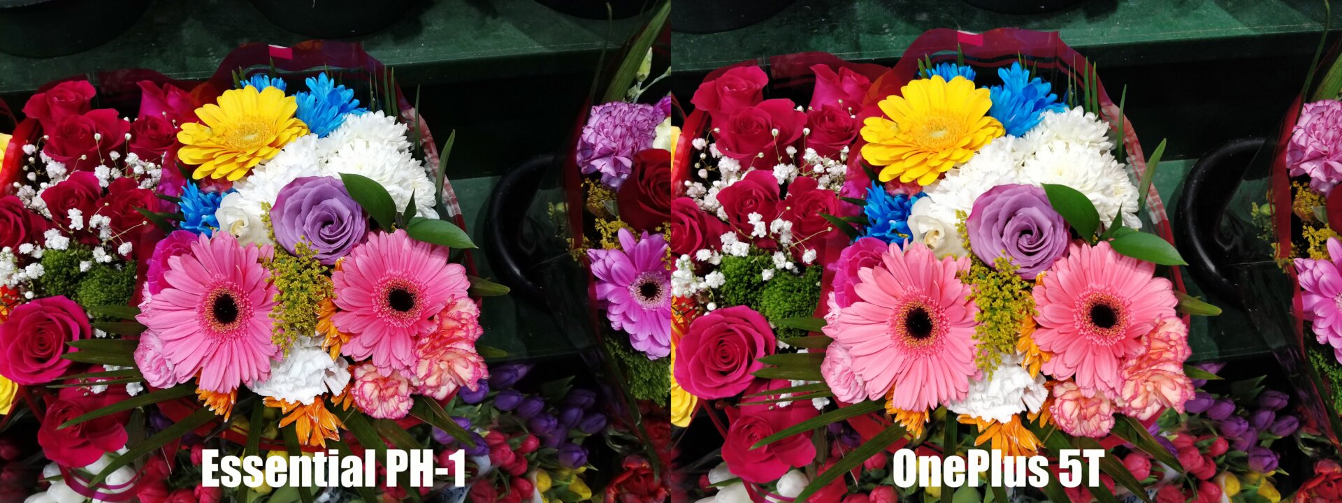 Photo: Sam Rutherford