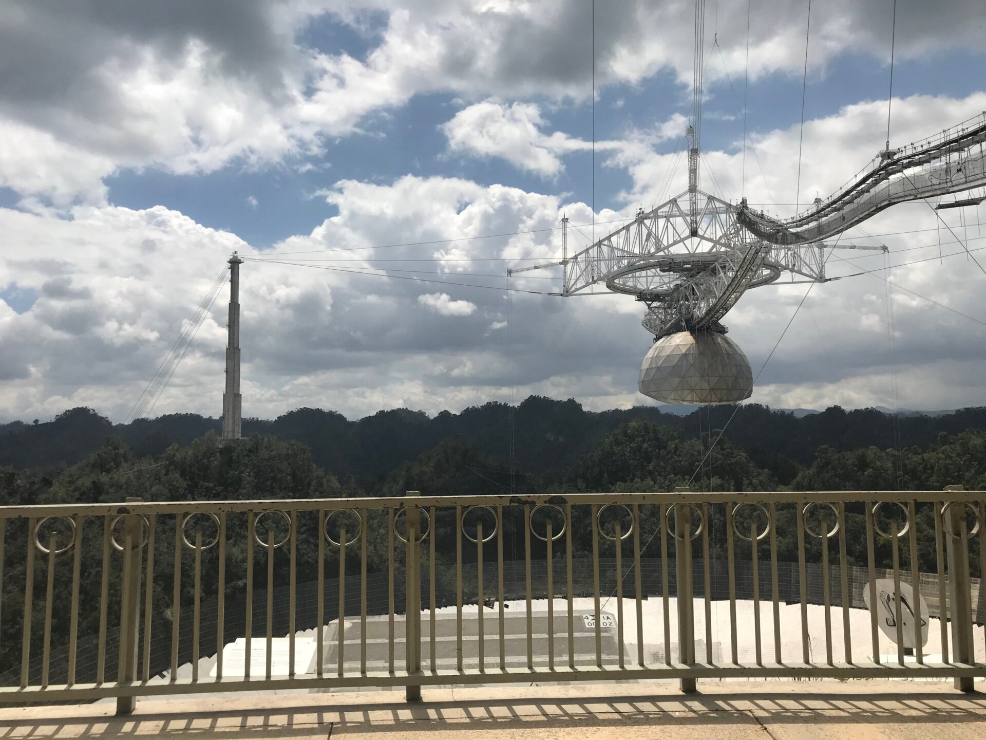 Photo: Ryan F. Mandelbaum