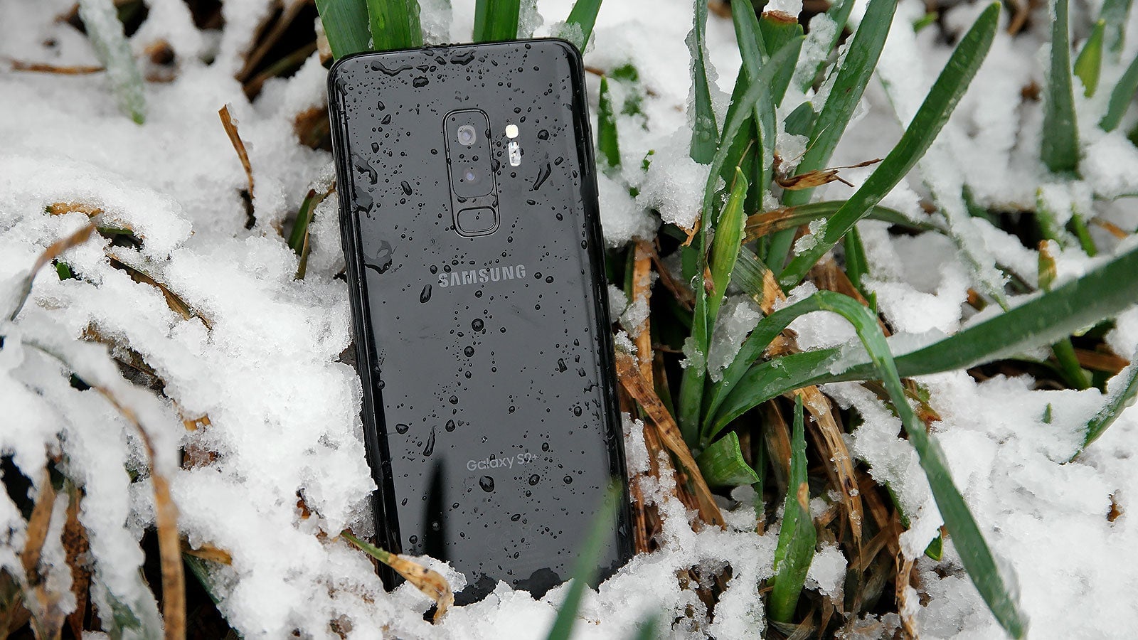 Photo: Sam Rutherford