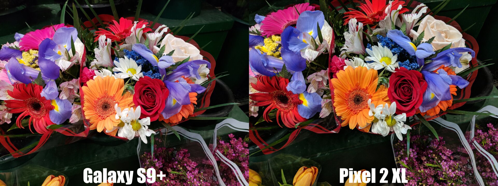 In ideal conditions, the Pixel 2 offers slightly better color saturation, and sometimes a bit better sharpness too. 