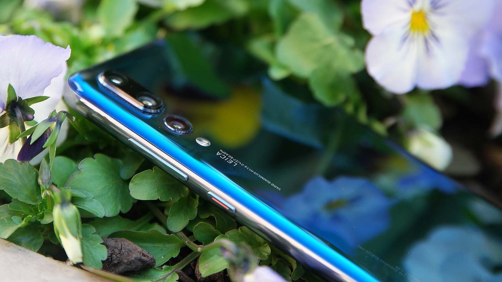 Photo: Sam Rutherford