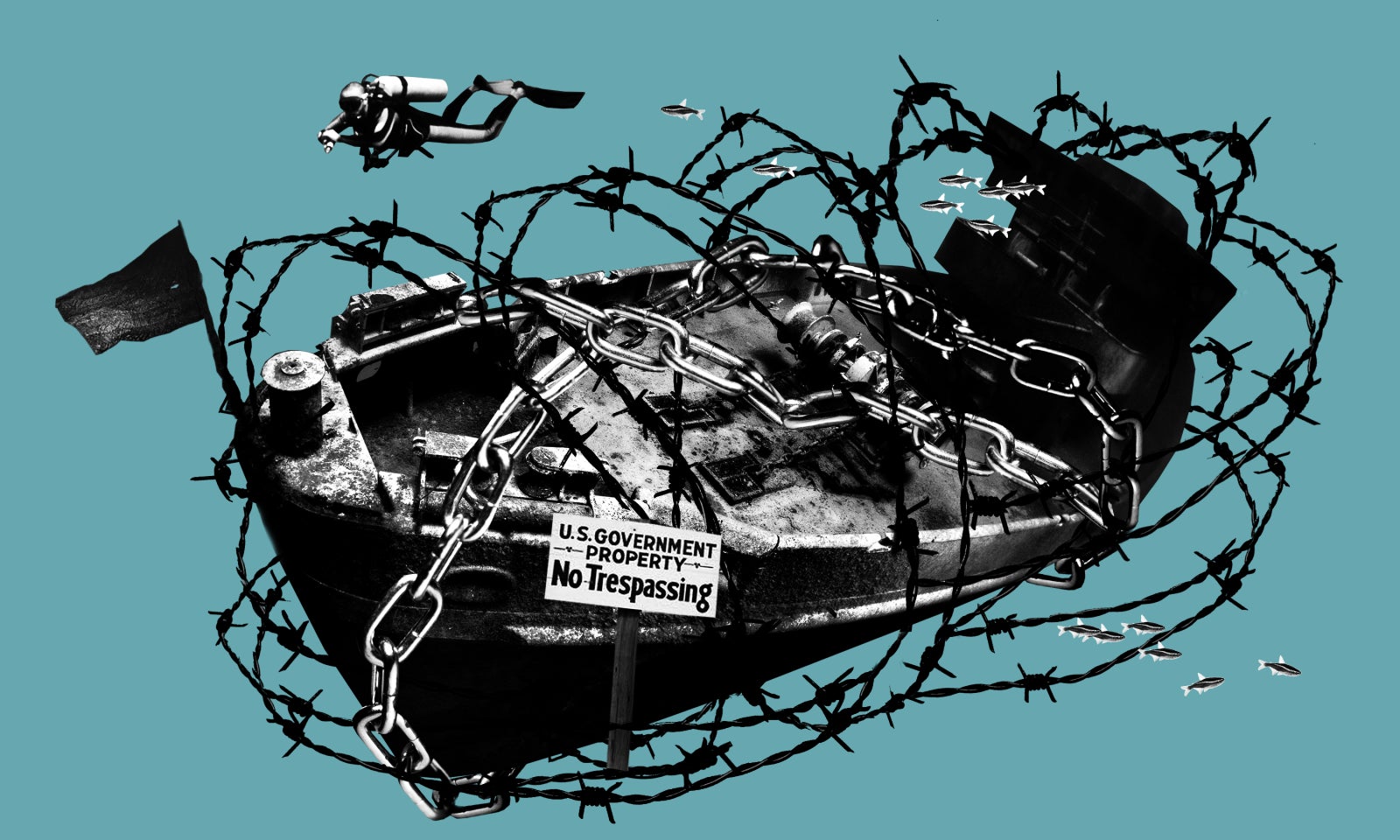 Illustration: Elena Scotti / Photo: / Photo: / Photo: