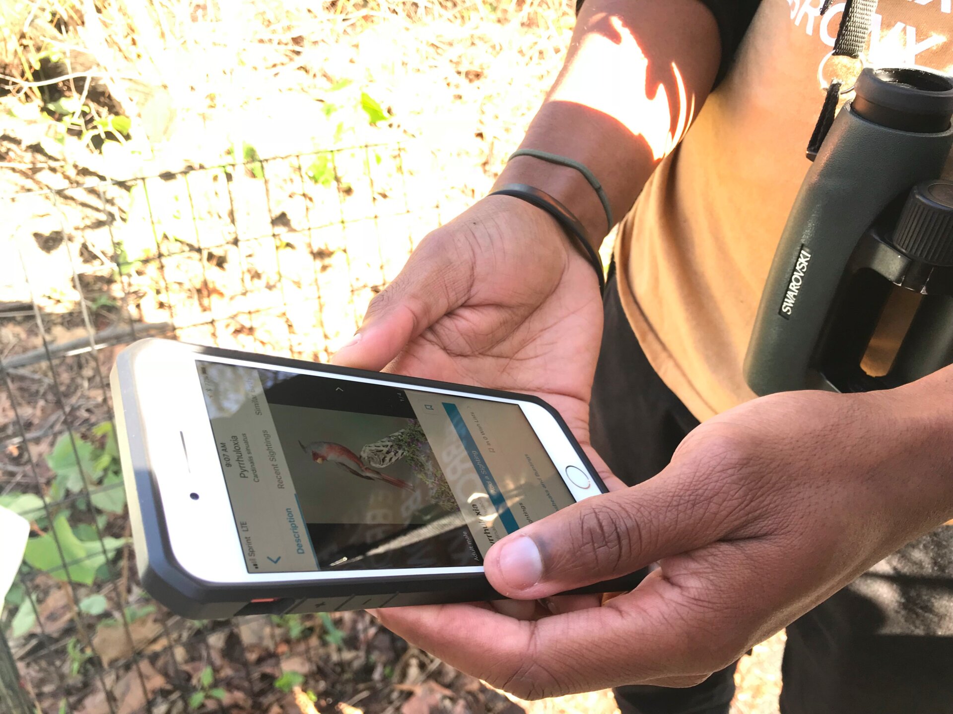 Photo: Ryan F. Mandelbaum