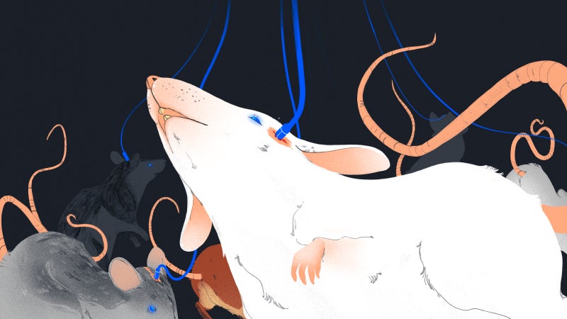 Illustration: Chelsea Beck