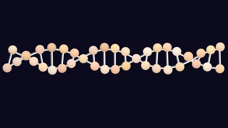 Illustration: Elena Scotti