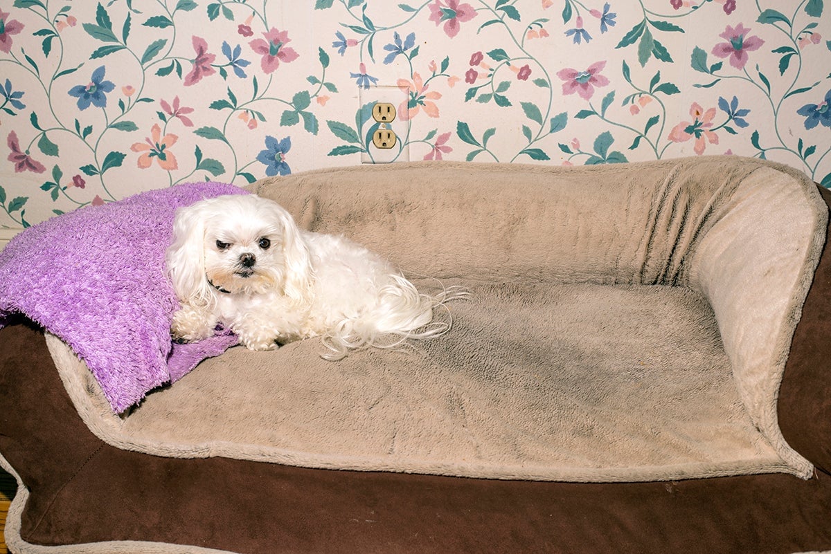 Photo: Michelle Groskopf