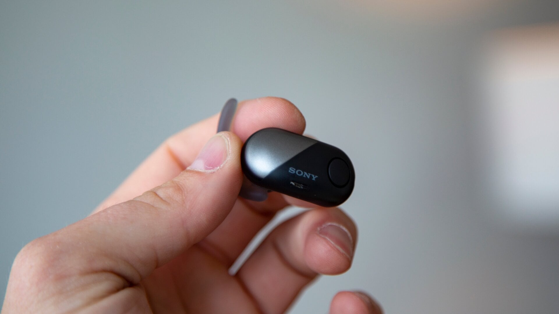 Photo: Adam Clark Estes