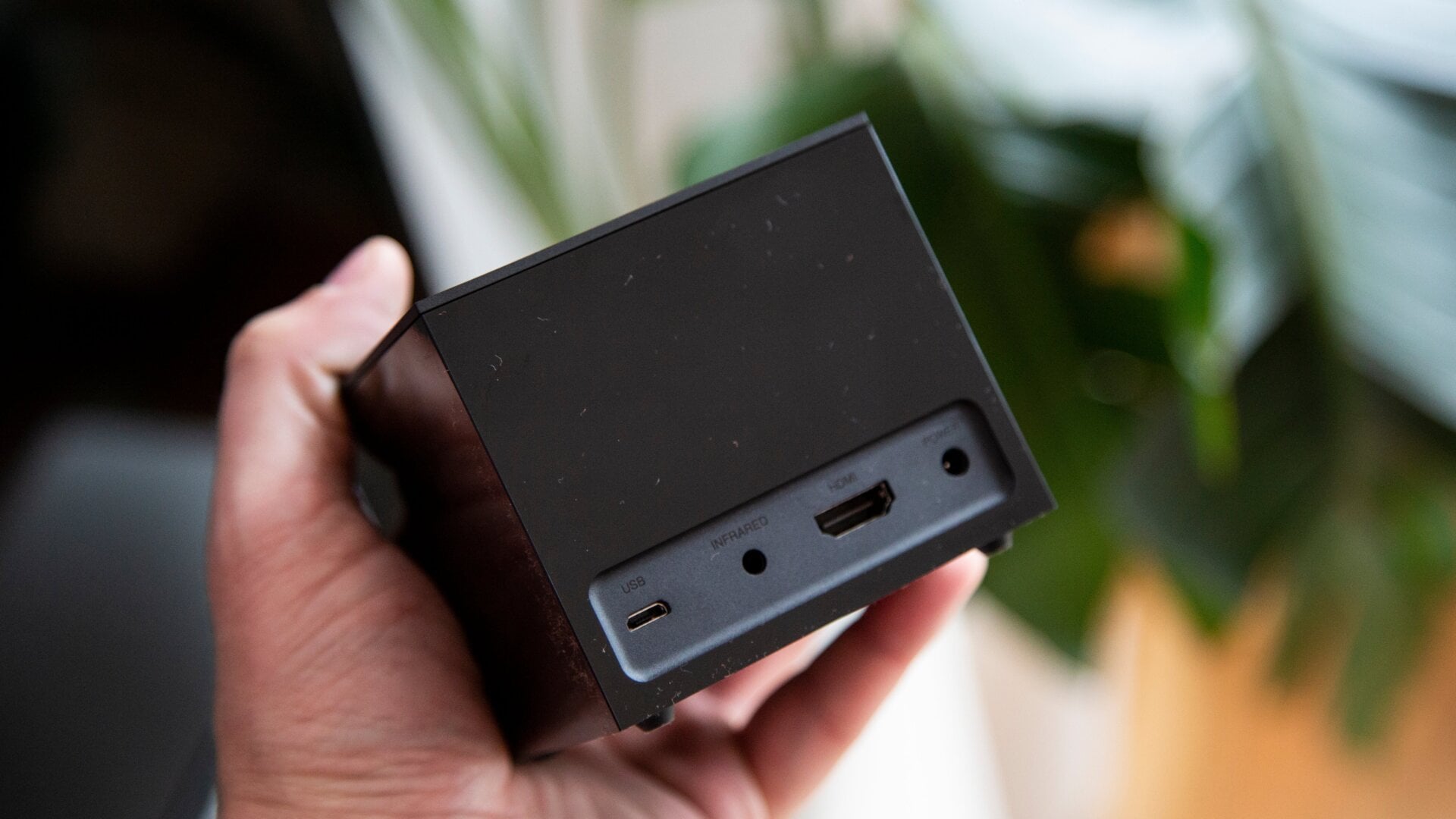 Photo: Adam Clark Estes