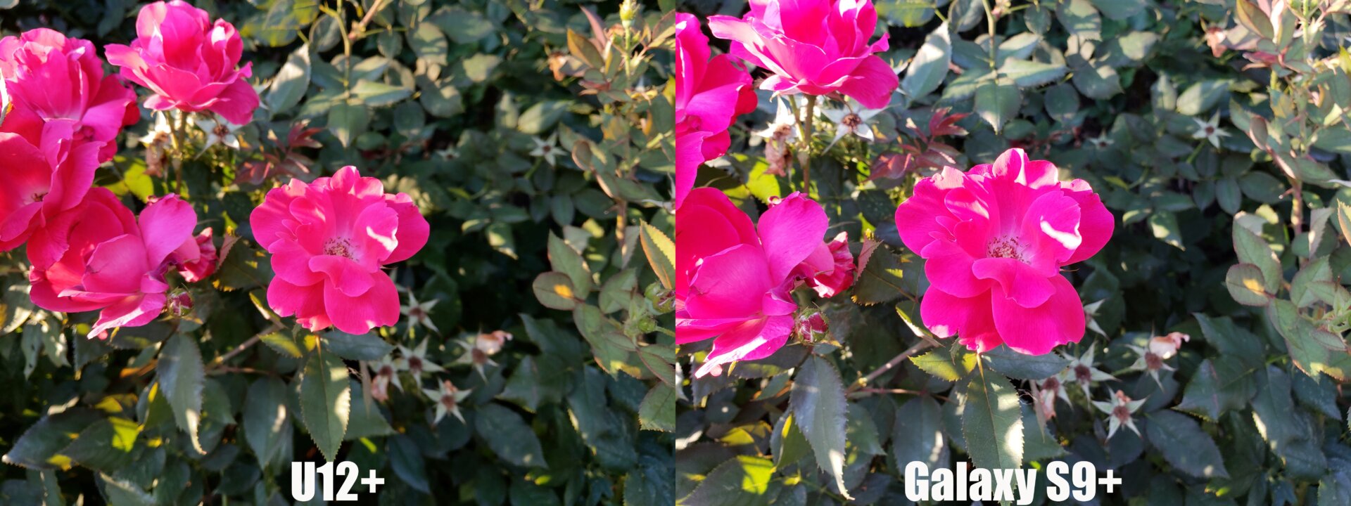 Even major device makers like Sony have a hard time keeping pace with Google and Samsung cameras, but HTC did it. 