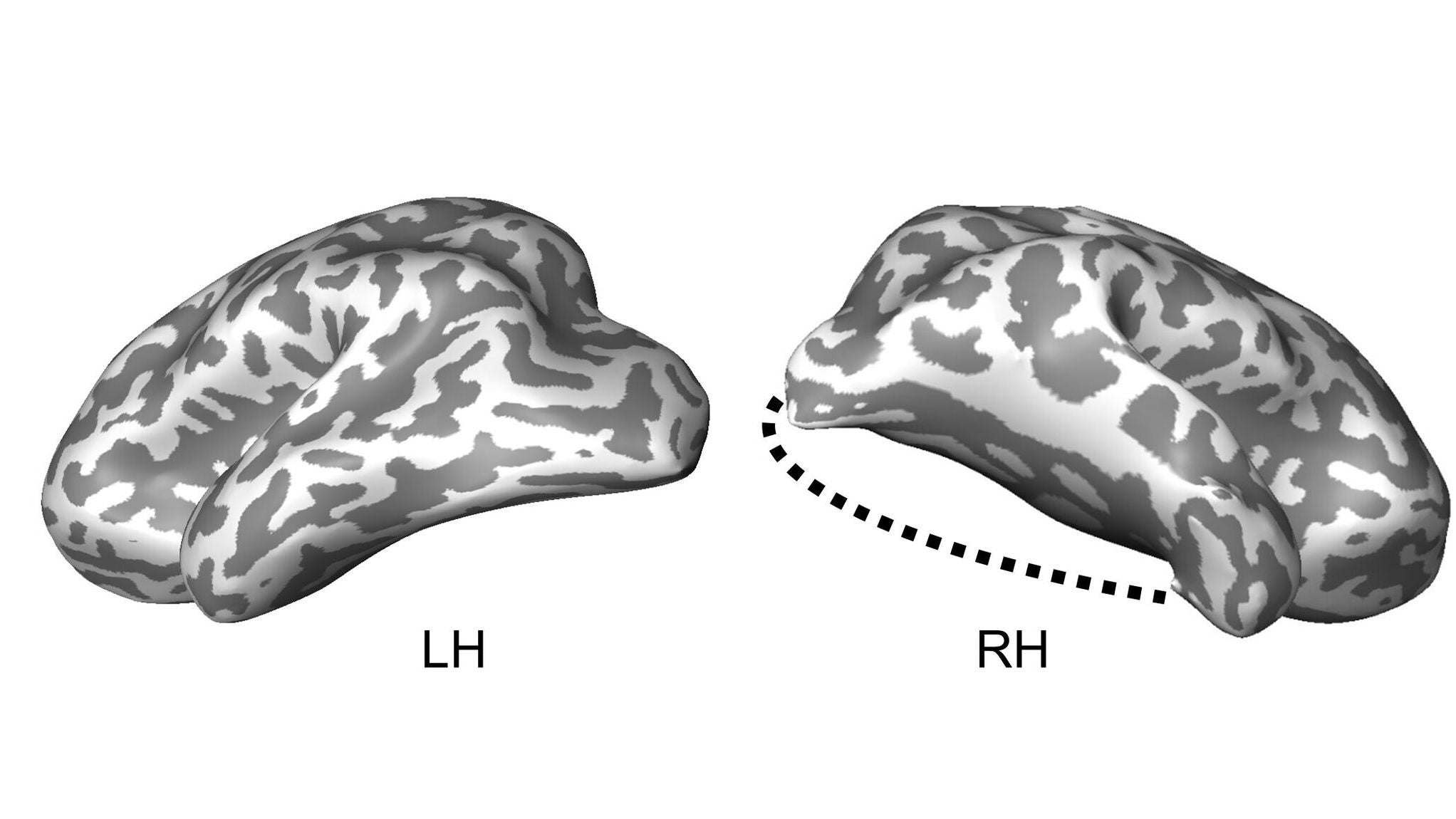 Illustration: Liu, et al.