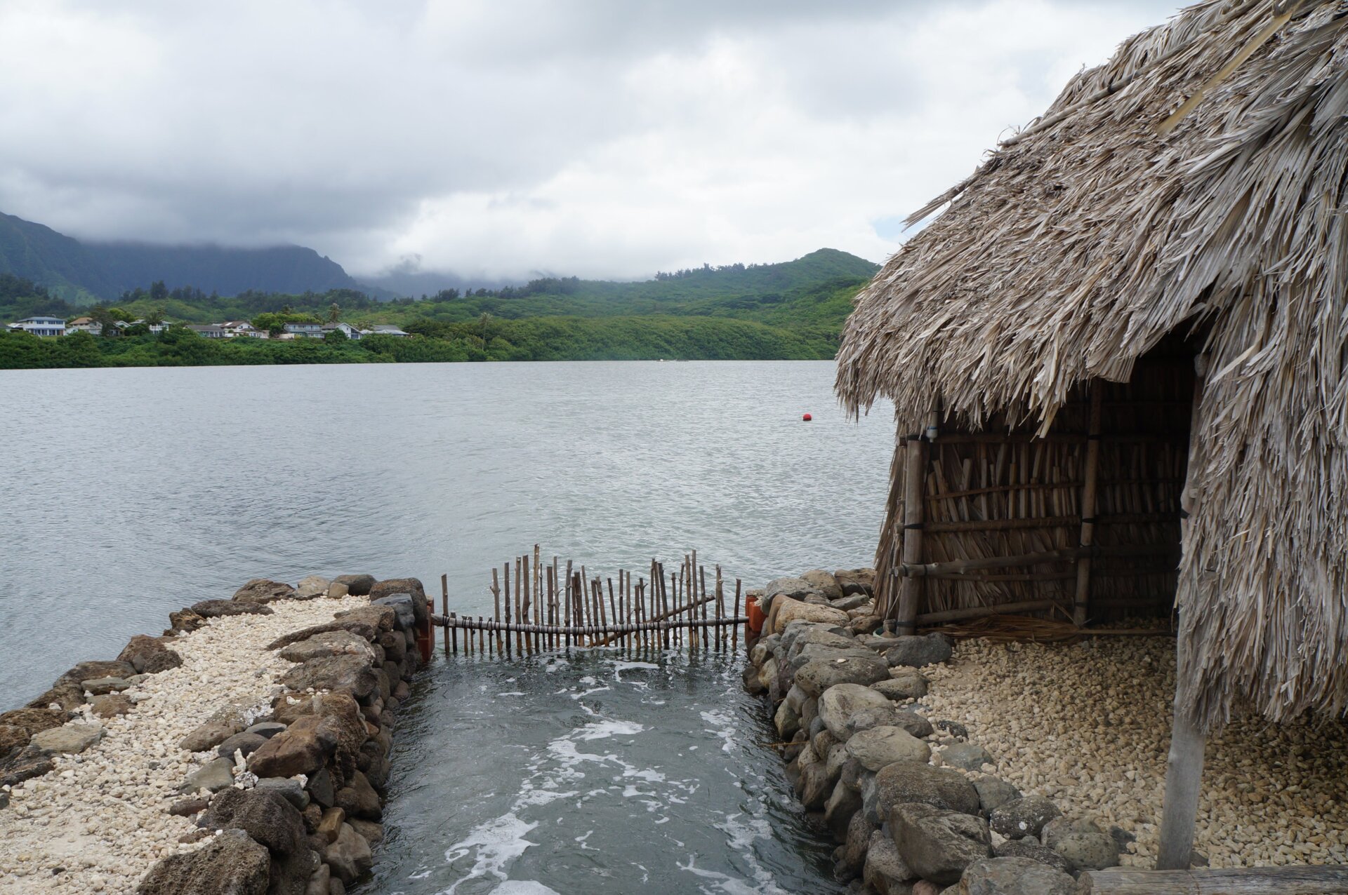 Photo: Yessenia Funes