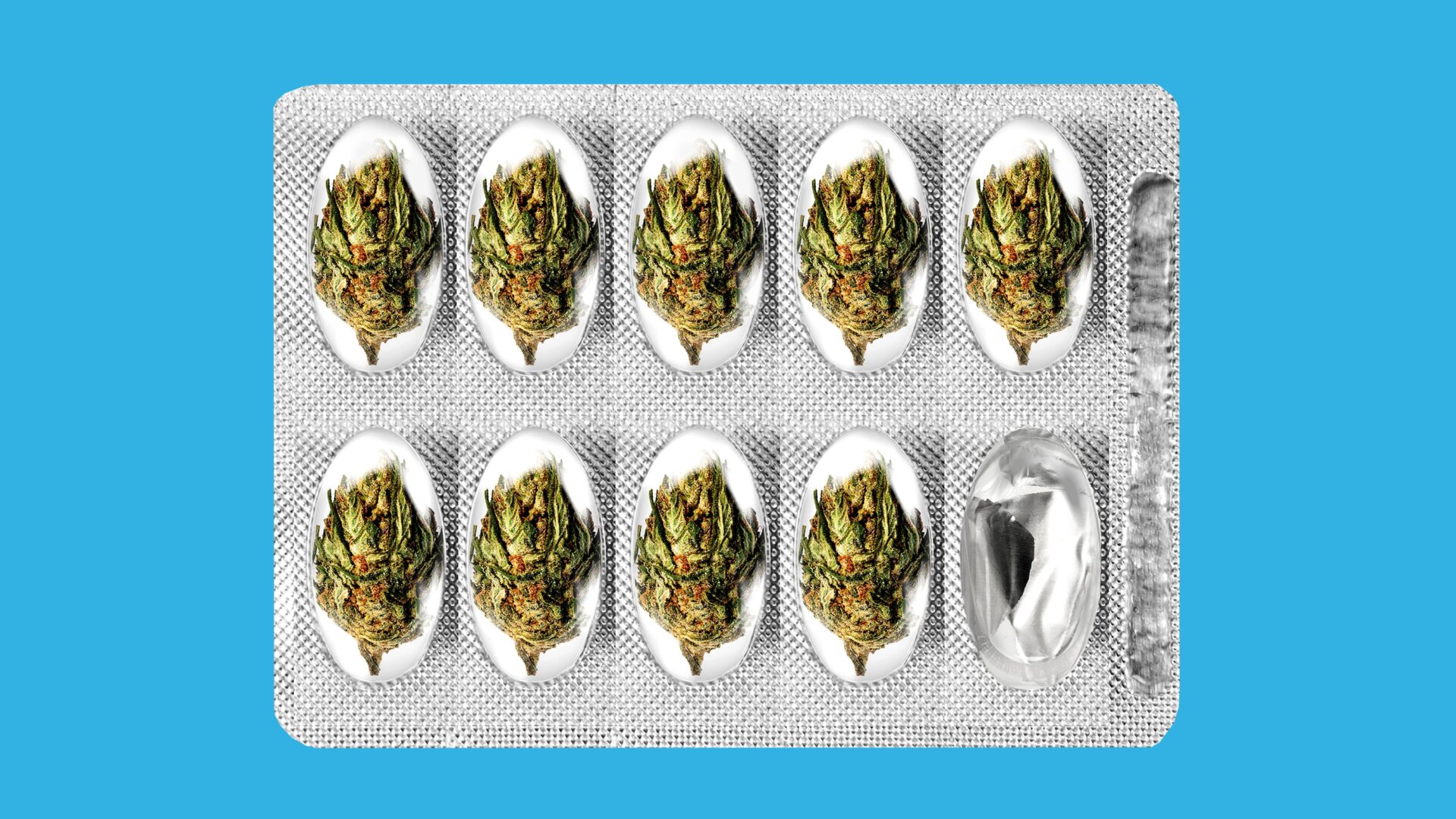 Illustration: Elena Scotti