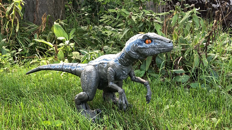 Gif: Andrew Liszewski