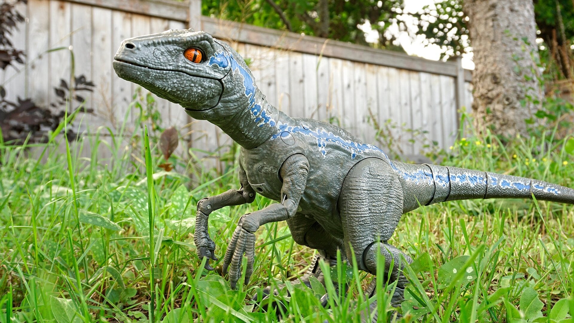 Photo: Andrew Liszewski