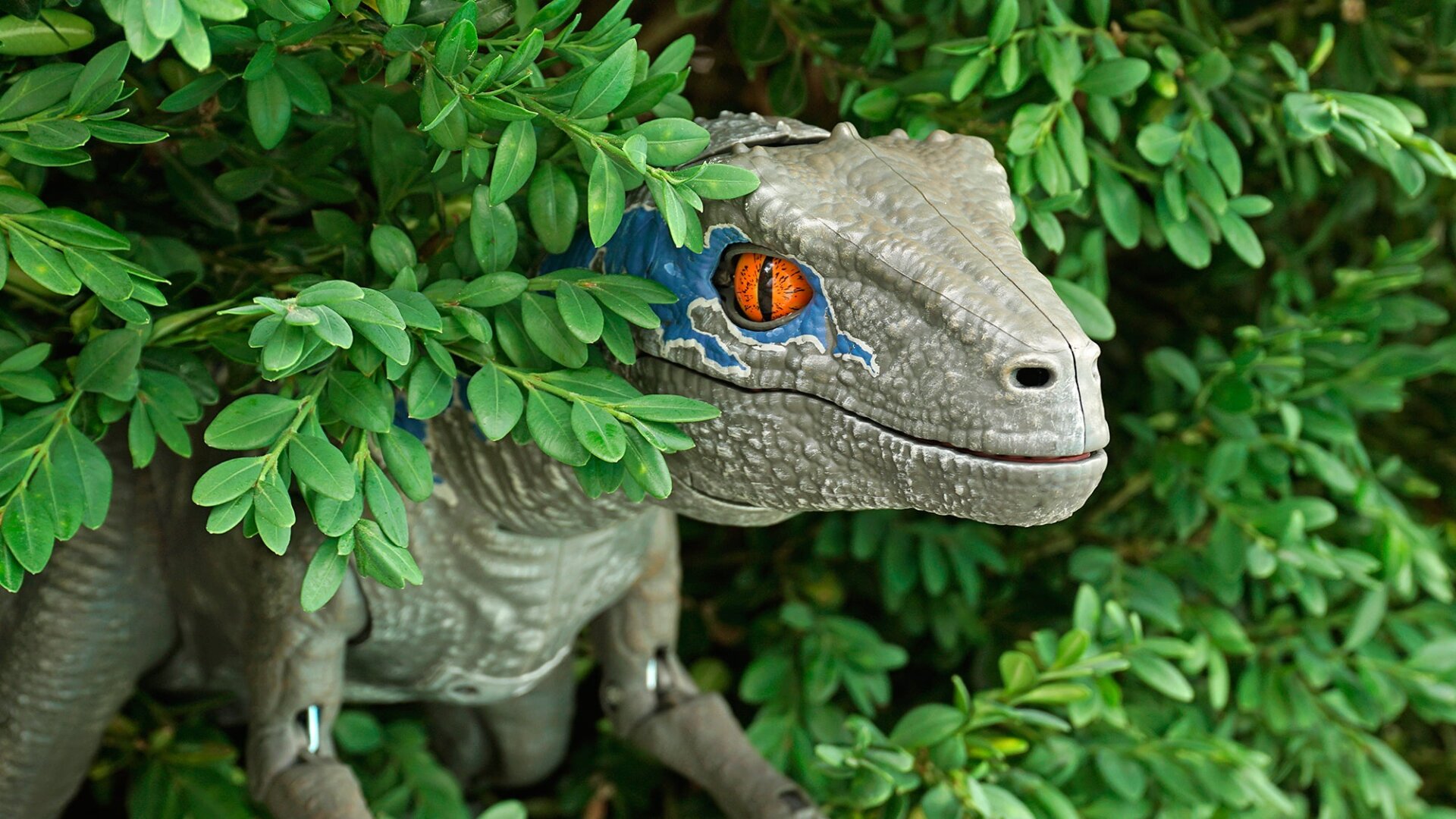 Photo: Andrew Liszewski