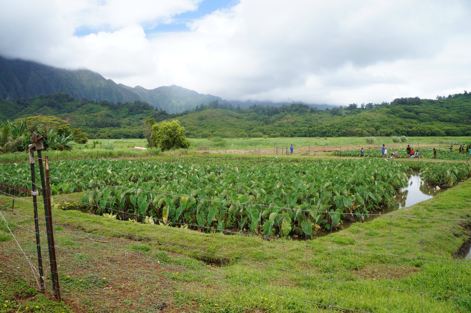 Photo: Yessenia Funes