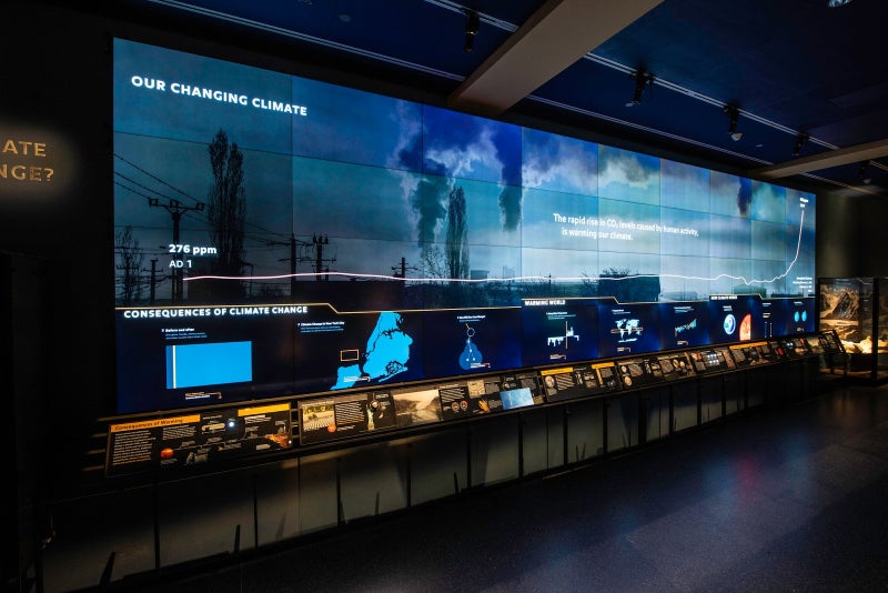 Photo: AMNH/D. Finnin