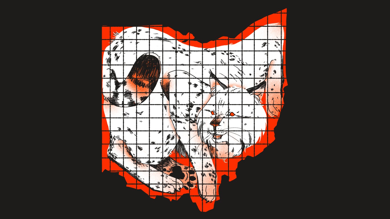 Illustration: Gizmodo