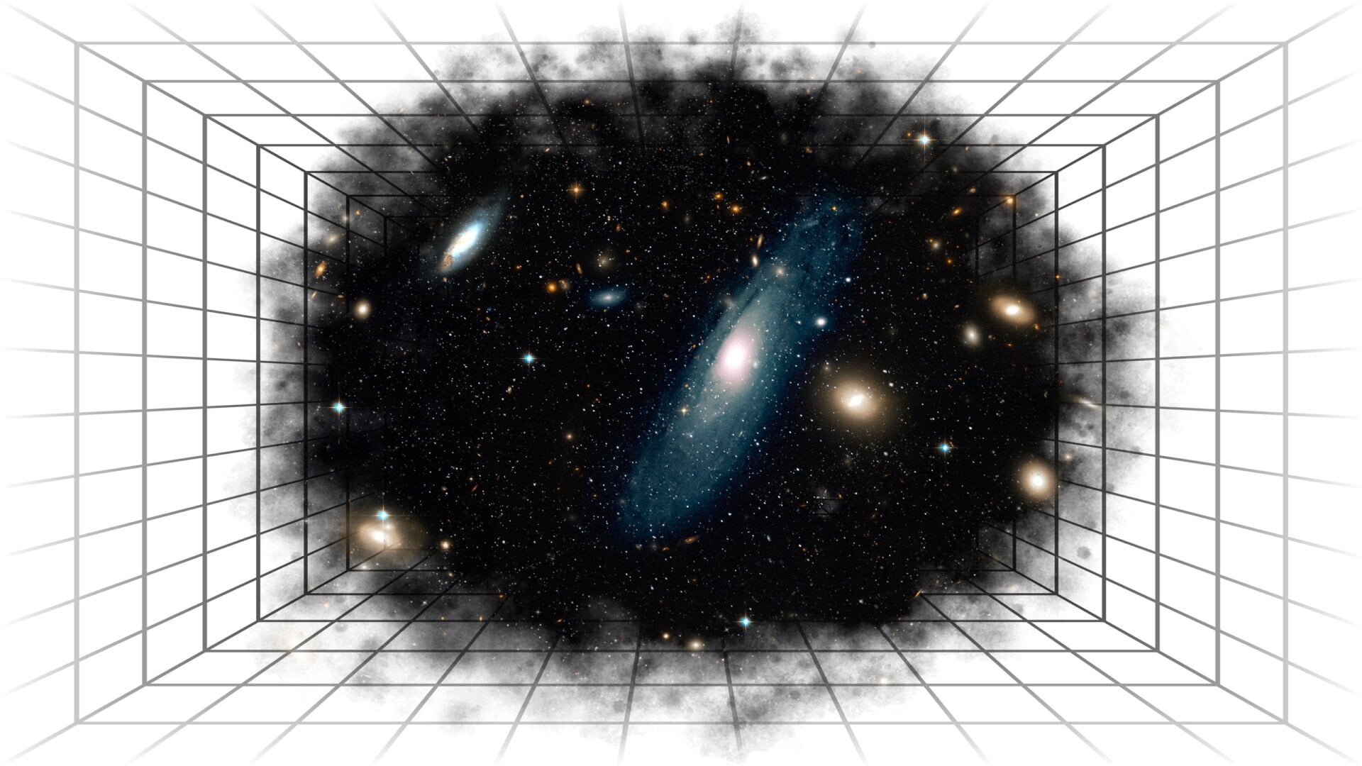 Illustration: Jim Cooke (Gizmodo