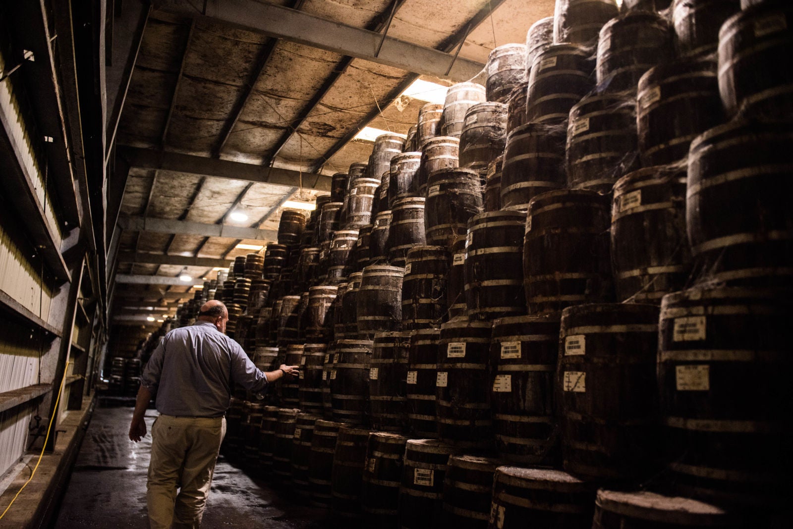 Photo: Michael Isaac Stein