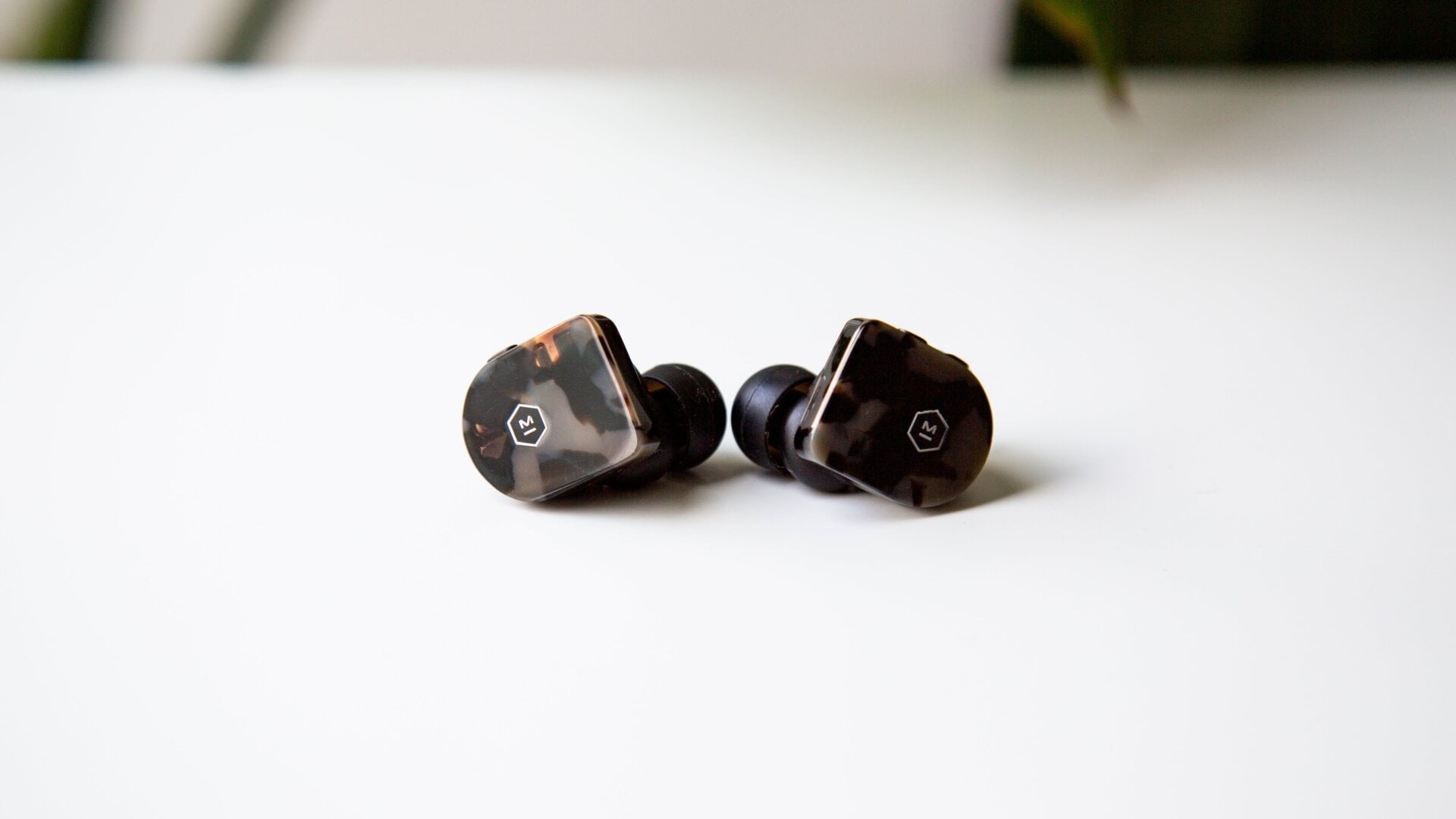 Photo: Adam Clark Estes