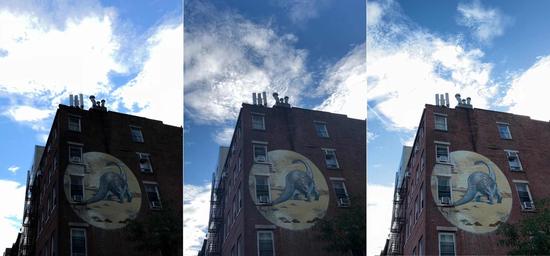 The same unedited image captured by the iPhone 8 Plus (left), the iPhone X (center), and the iPhone XS Max (right)