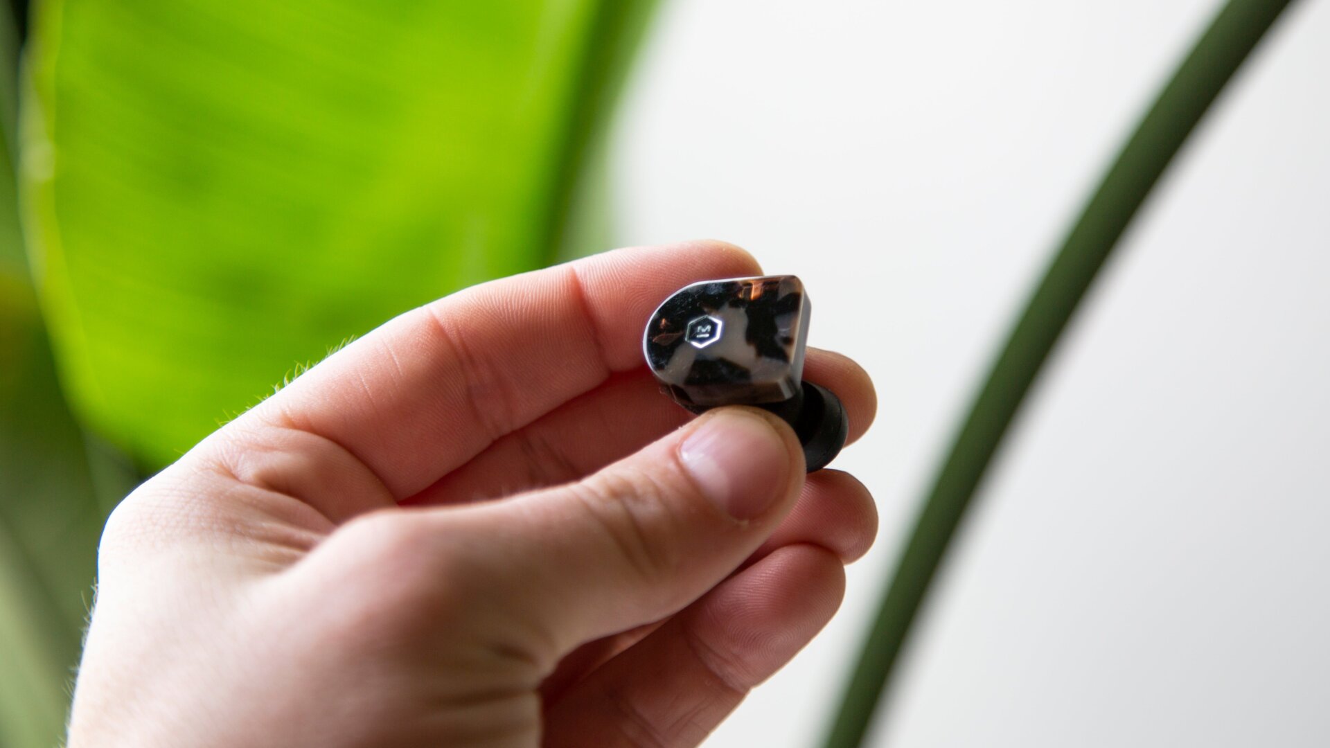 Photo: Adam Clark Estes