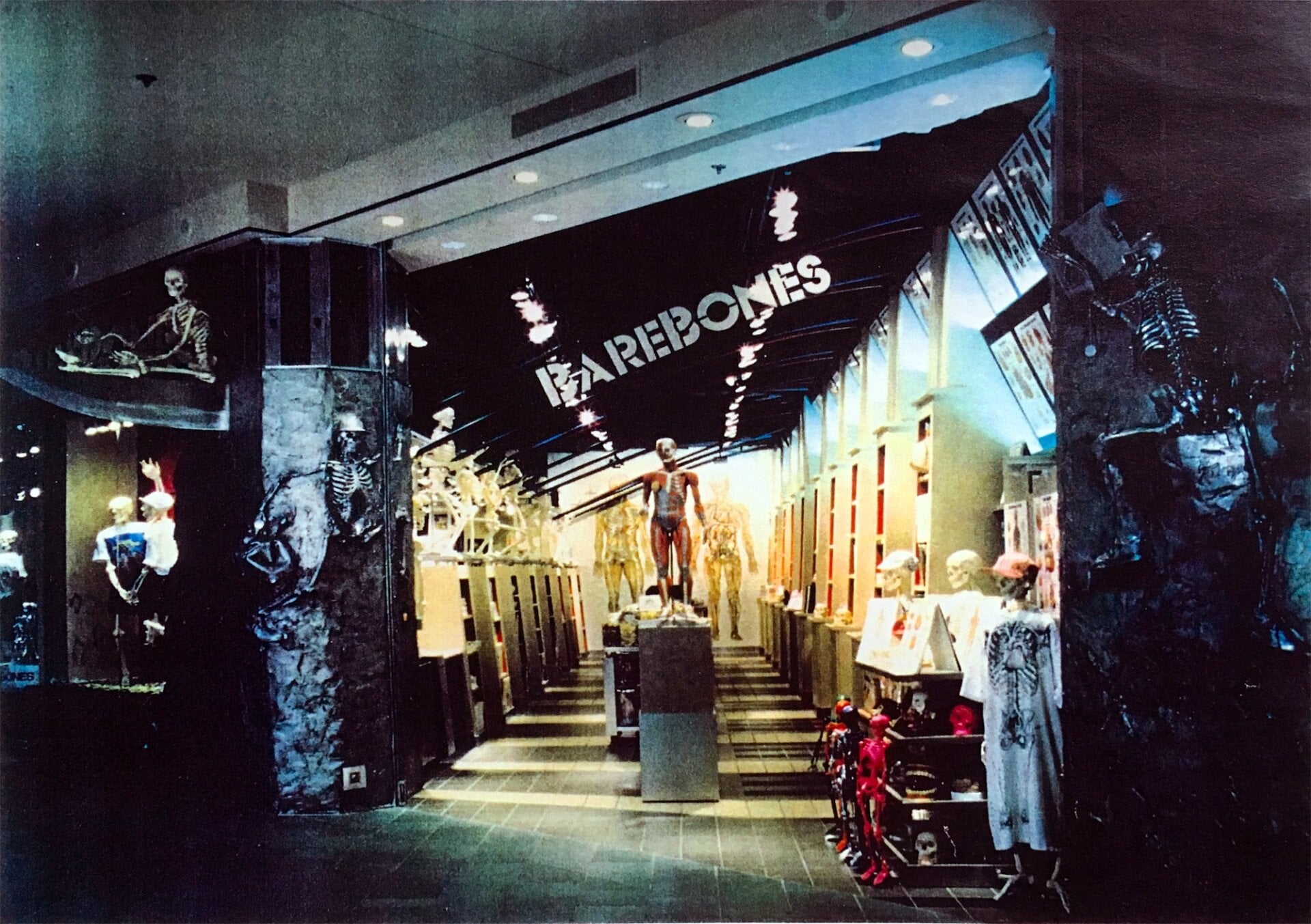 Photo: Courtesy of Marshall Cordell