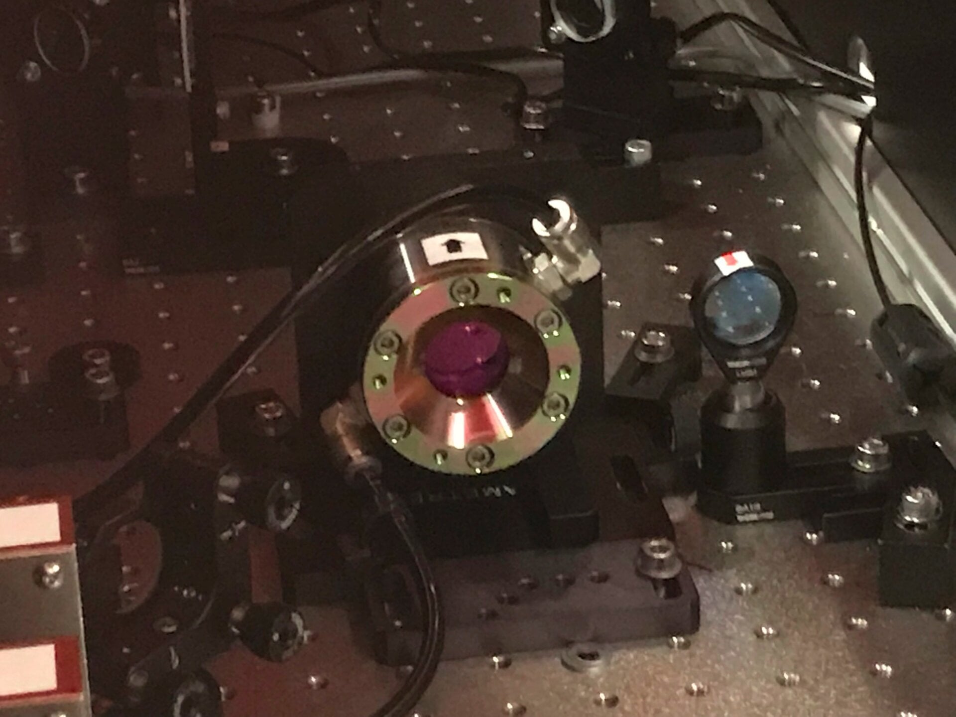 Photo: Ryan F. Mandelbaum