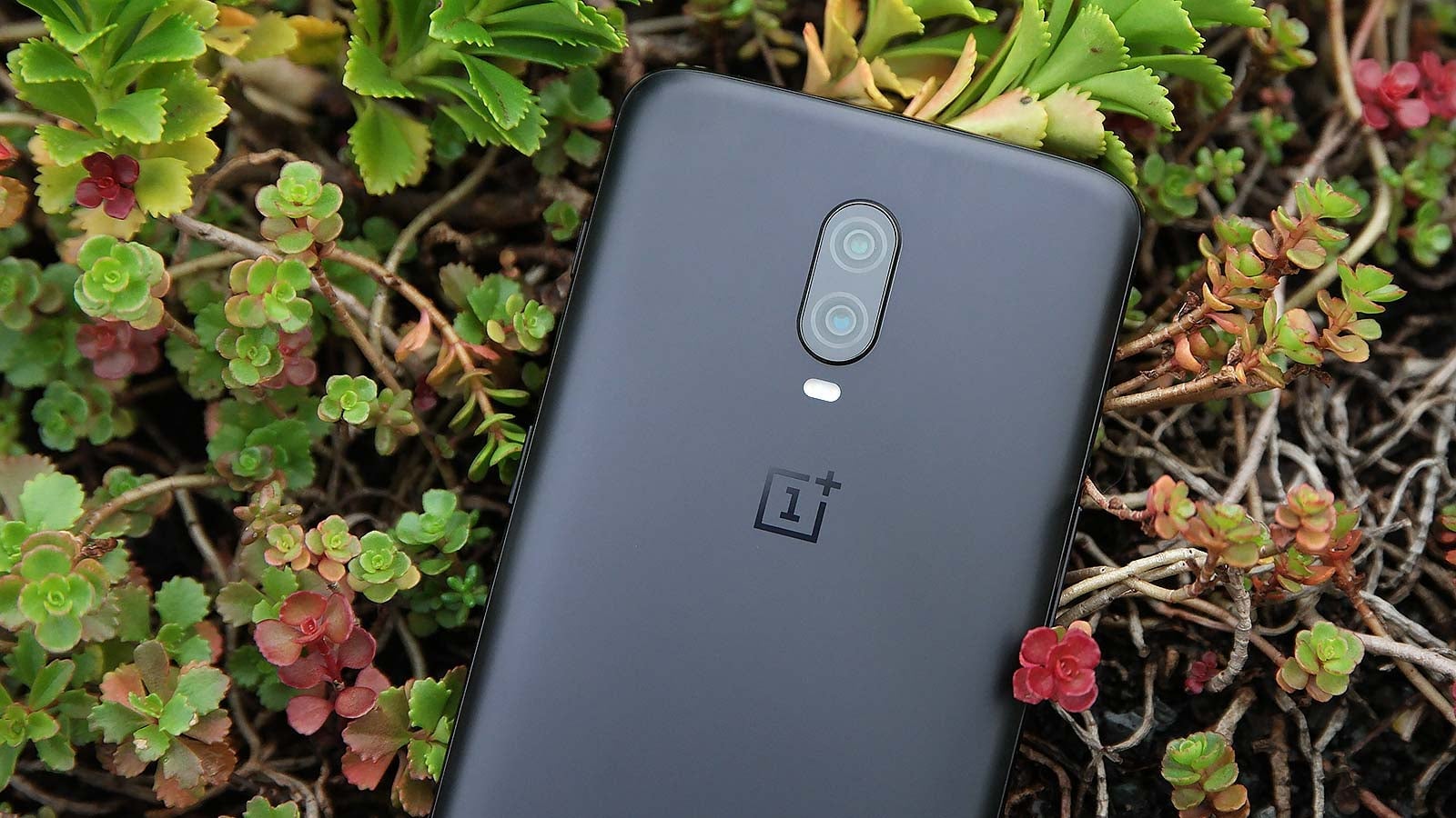 The OP6T’s 16-MP cameras aren’t the best, but there’s not much to complain about either.