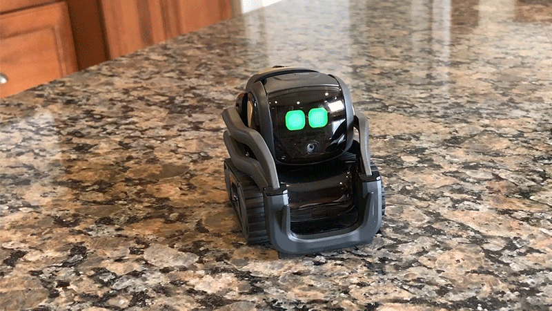 Despite its diminutive size, Vector feels alive and responsive.