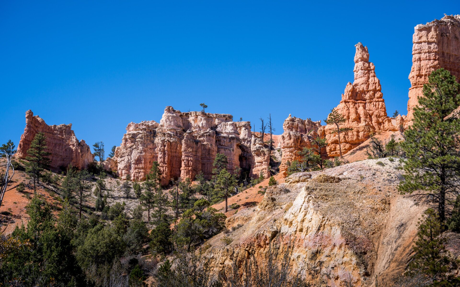 Nikon Z7. 1/400 sec at f/8.0, ISO 125