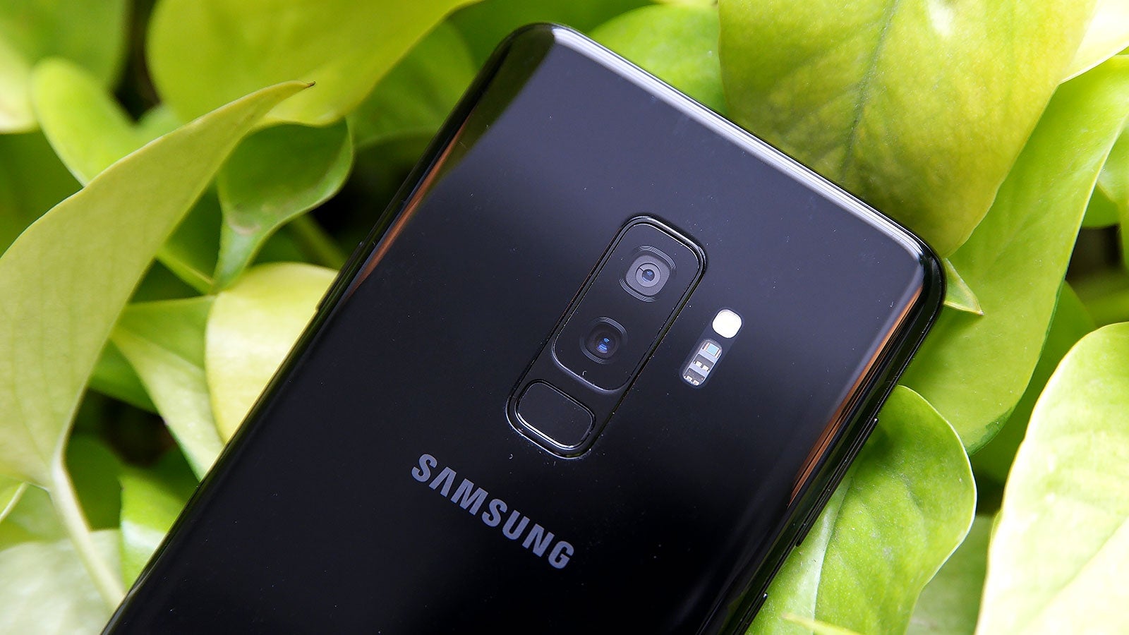 With reports of four rear cameras, Samsung would be making a big jump up from the two rear cams on the Galaxy S9.