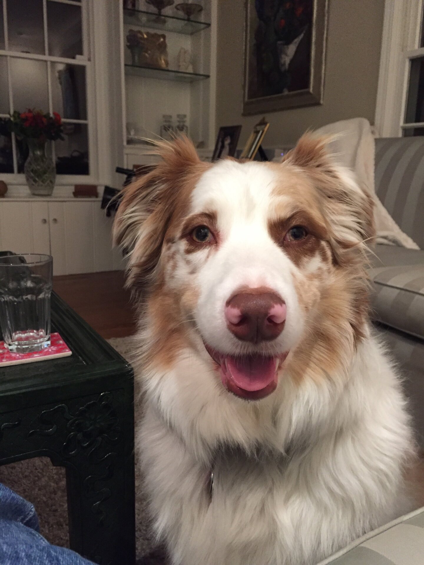 Photo: Emily Lipstein