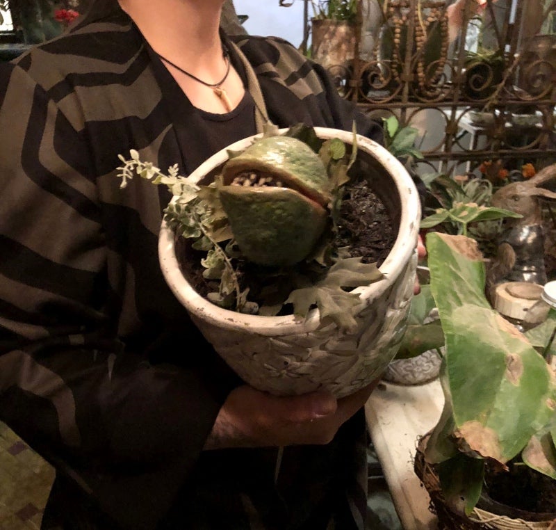 Photo: Beth Elderkin