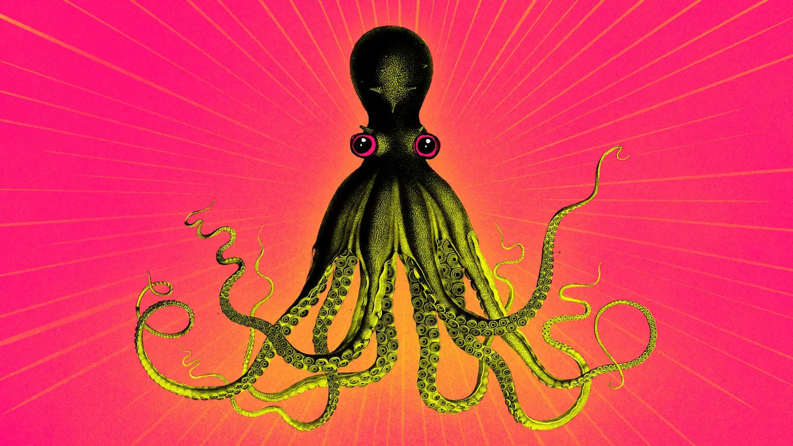 Illustration: Jim Cooke