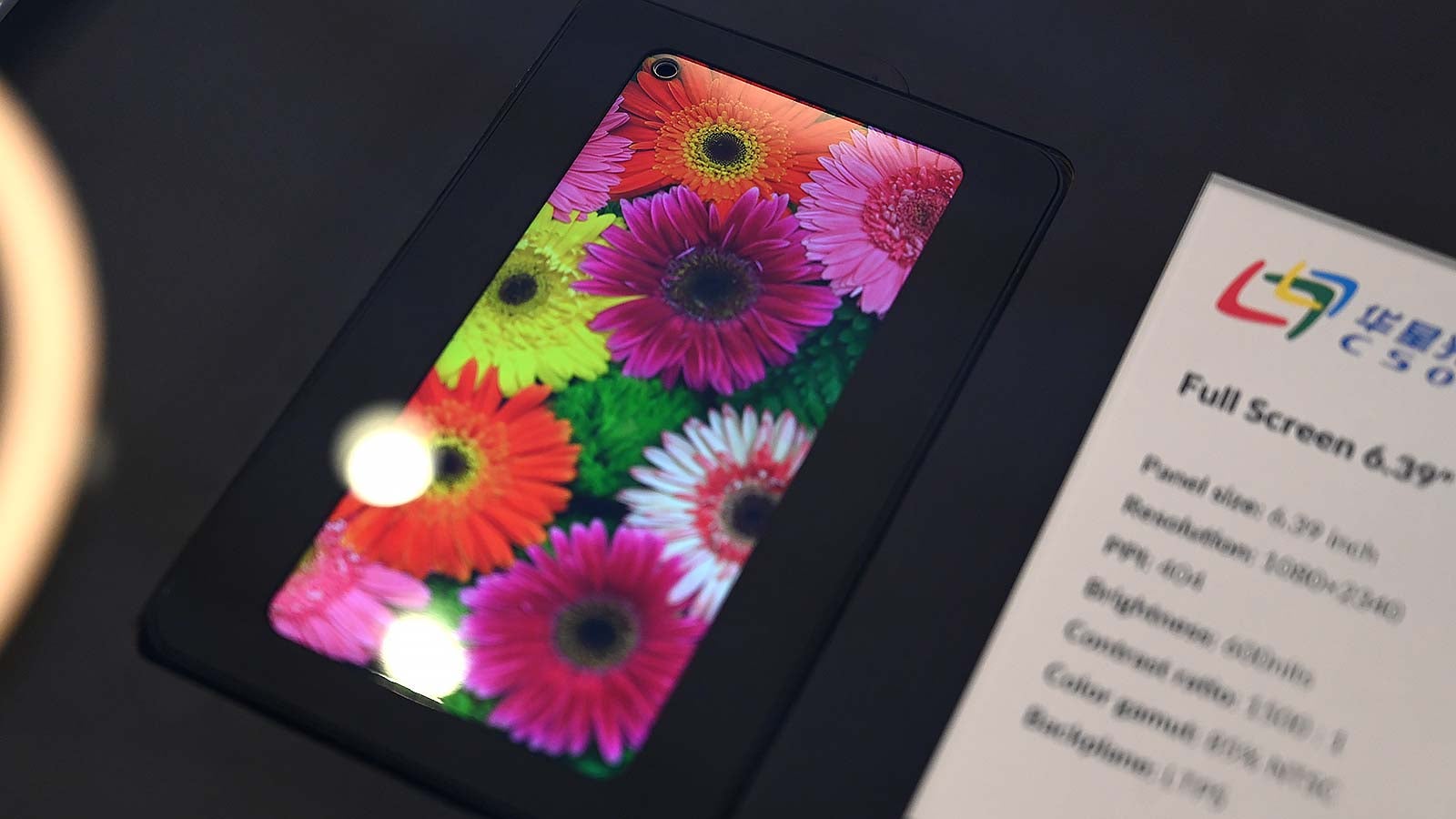 Photo: Sam Rutherford