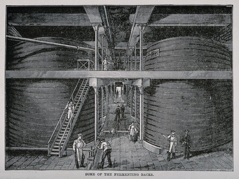 Image: Wellcome Collection