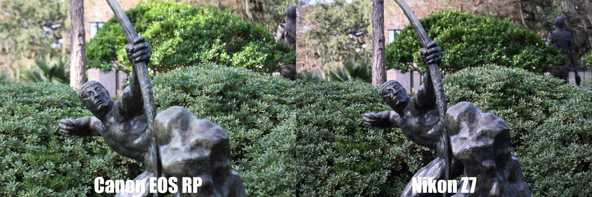 If you look at the tree trunk in the background, you can see where the Z7 offers better dynamic range. The Z7's pic is also sharper in the corners. (Click to enlarge)